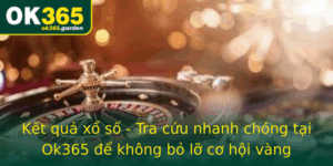 Ket Qua Xo So Tra Cuu Nhanh Chong Tai Ok365 E Khong Bo Lo Co Hoi Vang