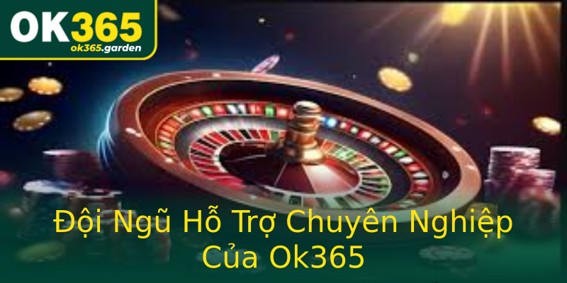 Đội Ngũ Hỗ Trợ Chuyên Nghiệp Của Ok365