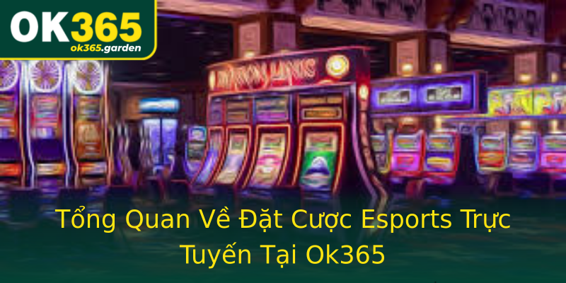 Tổng Quan Về Đặt Cược Esports Trực Tuyến Tại Ok365