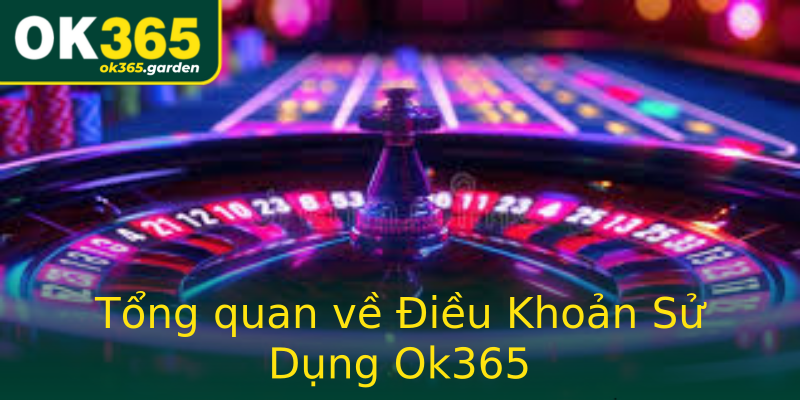 Tổng quan về Điều Khoản Sử Dụng Ok365