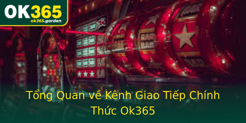 Tổng Quan về Kênh Giao Tiếp Chính Thức Ok365